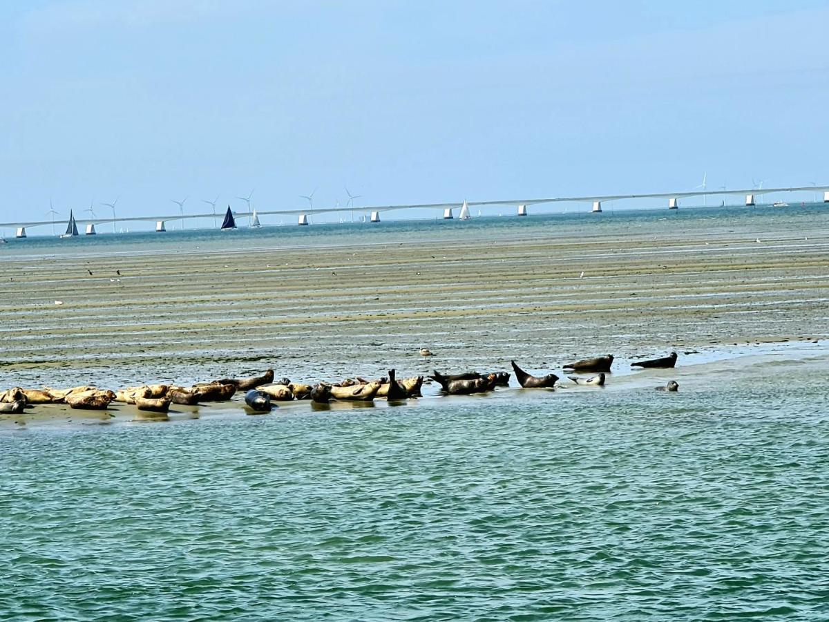 De Corner Van Zeeland Met Jacuzzi ซินท์ อันนาลอนด์ ภายนอก รูปภาพ